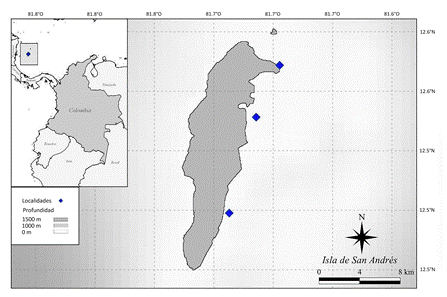 Localización de las estaciones de muestreo para censos de juveniles de peces cirujano en pradera de pastos marinos, manglar y comunidades coralinas en la isla de San Andrés.