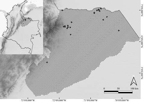 Distribución de 3371 escarabajos coprófagos depositados en la Colección Entomológica de la Orinoquia (CEO) de la Universidad Nacional de Colombia, sede Orinoquia, en Arauca, Colombia.