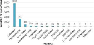 Representatividad de las familias de Diptera dentro del recurso. N = 7569 (100 %).