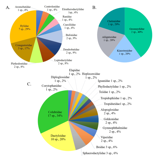 Number of species and richness percentage per family of amphibians and