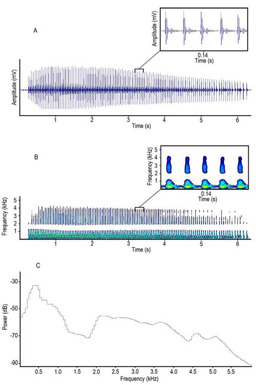 A, oscillogram, B, spectrogram and C, power spectrum of a pulse train emitted by Prochilodus magdalenae in Colombia. Yellowish areas in the magnified spectrogram section represent the highest amplitude levels in pulses.